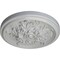 Ekena Millwork Katheryn Ceiling Medallion (Fits Canopies up to 2 1/8"), Hand-Painted Frost, 14 1/2"OD x 2 3/4"P CM14KTFRF - alternate 3
